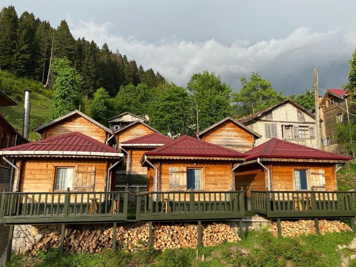 Pilita Bungalov&Rest Ayder Yaylasi Exteriör bild
