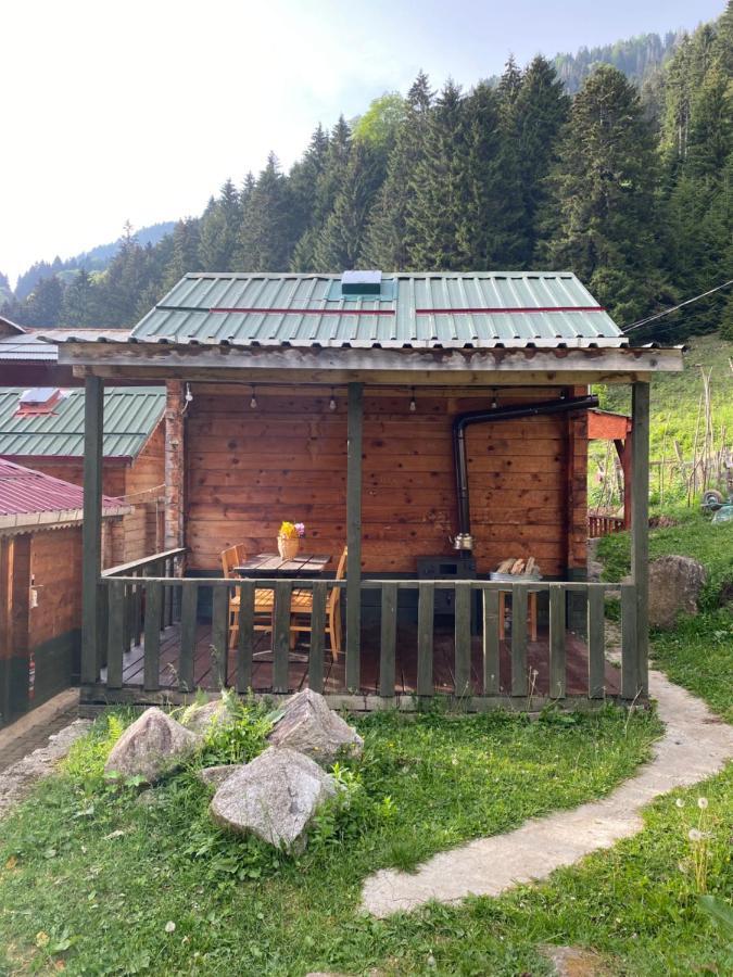 Pilita Bungalov&Rest Ayder Yaylasi Exteriör bild